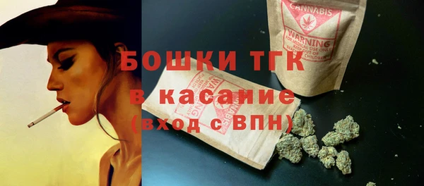 твердый Богородск