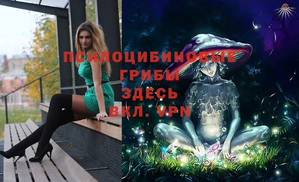 амфетамин Богданович