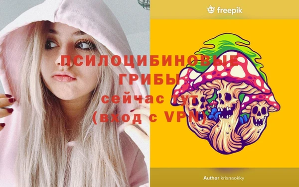 MDMA Premium VHQ Богородицк