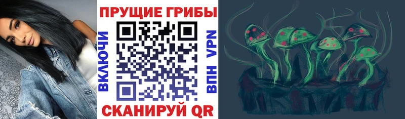 Псилоцибиновые грибы Cubensis  kraken ссылки  Долгопрудный 